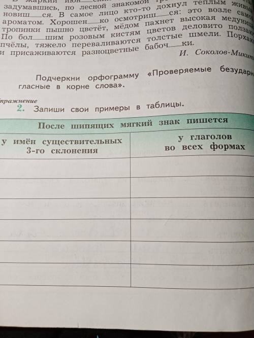 Запиши свои примеры в таблице После шипящих мягкий знак пишется У имён существительных 3 склонения У