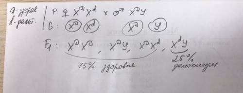 Ген цветовой слепоты(дальтонизм)- является рецессивным по отношению к гену нормального зрения. Опред