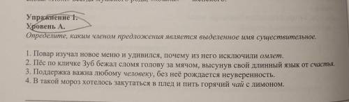 Упражнение 1. Уровень А. Определите, каким членом предложения является выделенное имя существительно