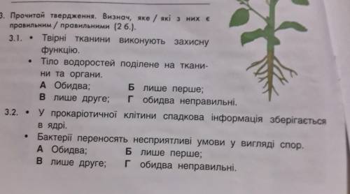 3. Прочитай вердження. Визнач, яке / які з них е правильним / правильними (2 6.). 3.1. • Твірні ткан