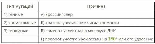 Соотнеси типы мутаций и их причины. (Запиши в ответе последовательность цифр и букв. Пример: 1Б2А3В.