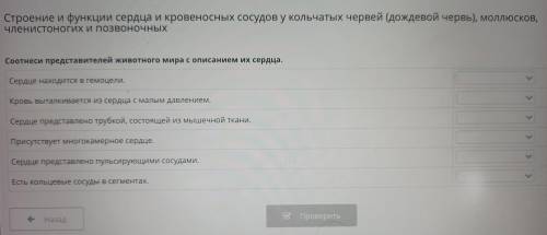 Соотнеси представителей животного мира с описанием их сердца.