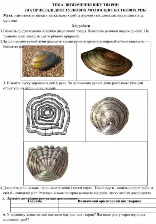 Лабораторне дослідження Визначення віку тварин (на прикладі двостулкових молюсків і кісткових риб)