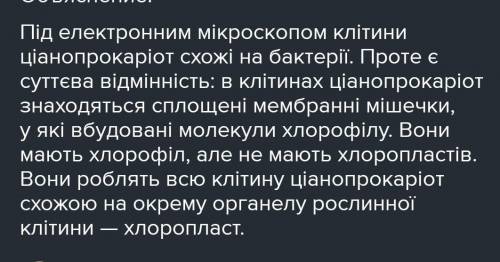 Що таке ціанопрокаріот? Будова ціанопрокаріотівХелп