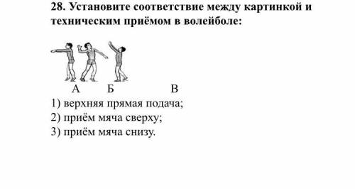 Тест по физической культуре. 1. Физические упражнения – это … А) естественные движения и передвижени