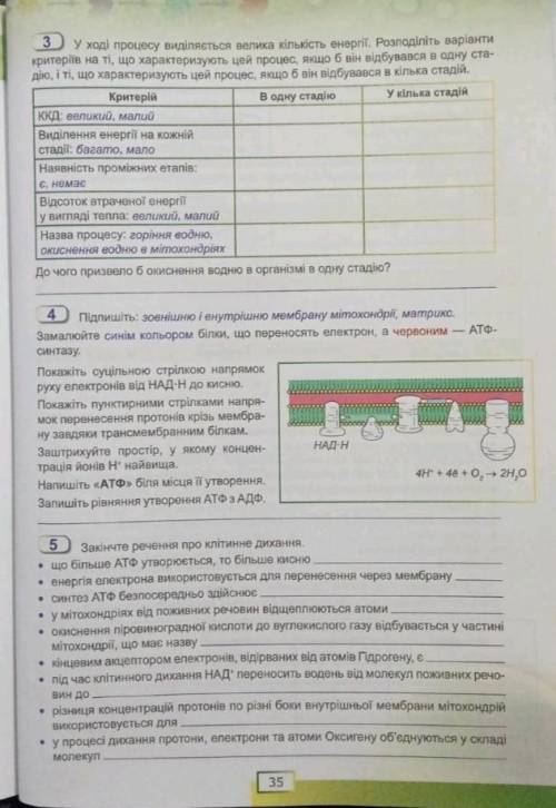 До іть, будь ласка, з біологією 9 клас з усіма завданнями крім третього