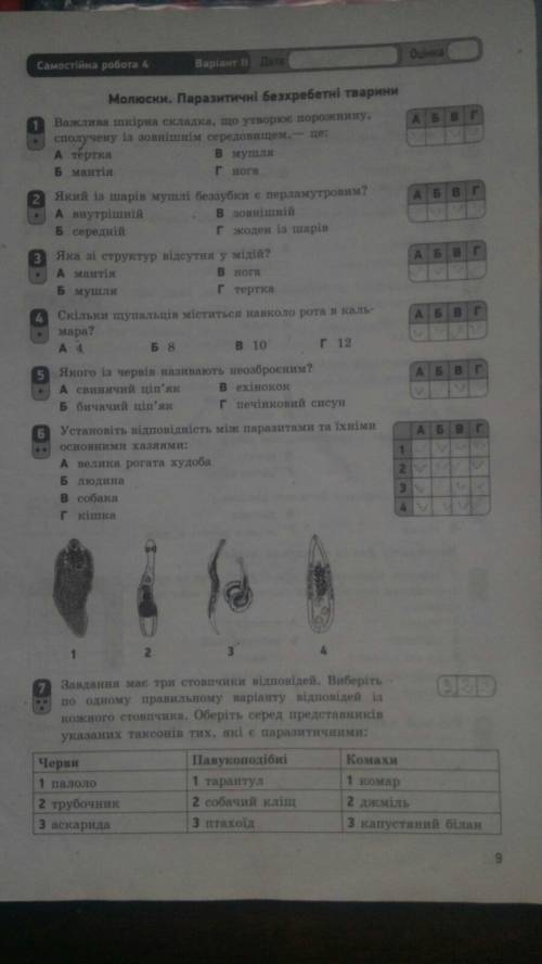 На фото у 6 завданні такі тварини: печінковий сисун, ехінокок, аскарида, котячий сисун.