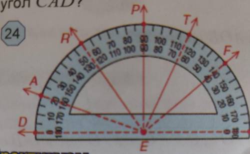 Используя рисунок 24 найдите градусную меру угла AED WEF FEP FED DET AET REF. DEW