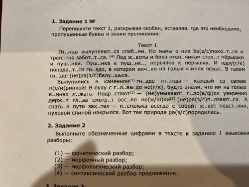 Выполните обозначение цифрами в тексте к заданию 1 языковые разборы