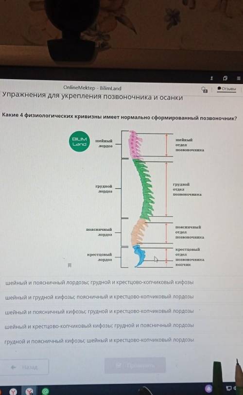 Какие 4 физиологических кривизны имеет нормально сформированный позвоночник? BILIM Land шейный лордо