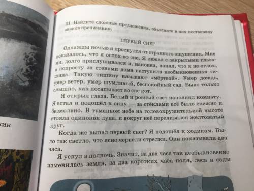 ‼️СР⭕️ЧН⭕️‼️Текст: «Первый снег» Задания: Прочитайте текст «Первый снег», запиши тему текста. Запиши