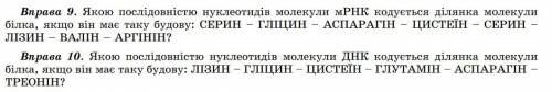 До іть з двома питаннями з біології