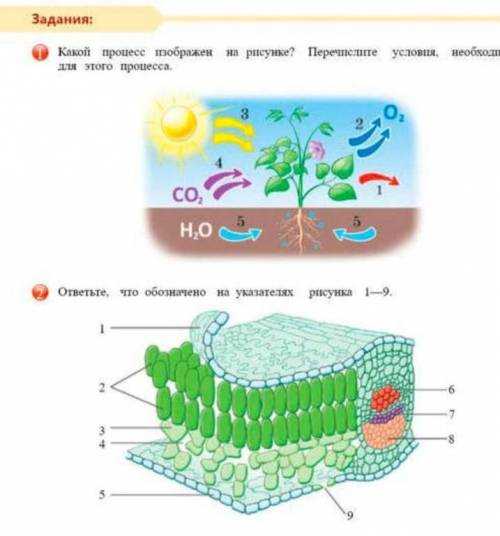 Решите задание 1 и 2. В 1 назовите что изображено на рисунке и назовите условия, необходимые для это