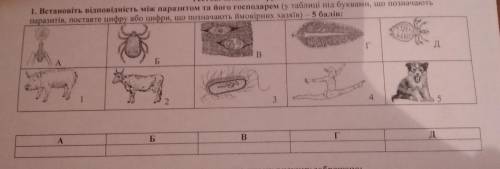 Встановіть відповідність між паразитом та його господарем