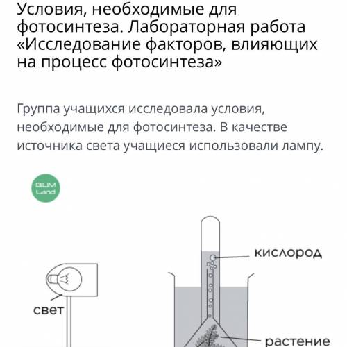 Условия, необходимые для фотосинтеза. Лабораторная работа «Исследование факторов, влияющих на процес