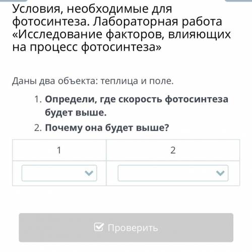 Даны два объекта: теплица и поле. Определи, где скорость фотосинтеза будет выше. Почему она будет вы