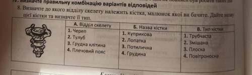 Який тип куприкової кісткиа)трубчастаб)змішанав)плоскаг) повітроносна