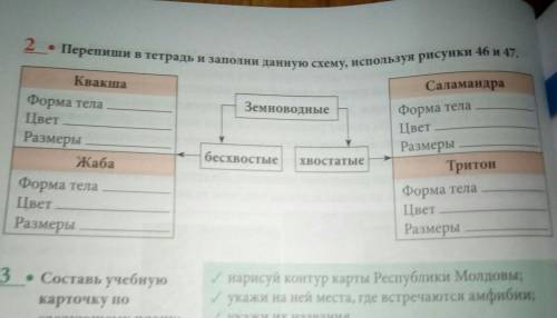 Перепишите в тетрадь и заполните данную схему, используя рисунки 46 и 47
