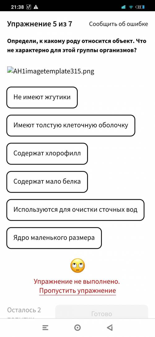 Два задания. Кто первый-тому лучший ответ. Последняя картинка к 5 заданию.