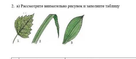 Рассмотрите внимательно рисунок и заполните таблицу биология