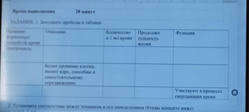 ЗАДАНИЯ. 1. Заполните пробелы в таблице Описание Название форменных элементов крови Эритроциты Колич