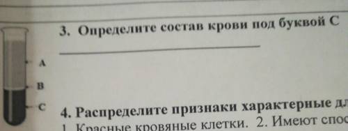 3. Определите состав крови под буквой С