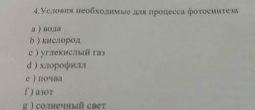 Условия необходимые для процесса фотосинтеза: