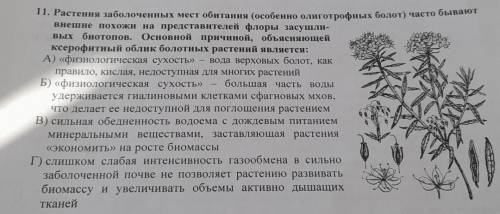 Растения заболоченных мест обитания (особенно олиготрофных болот) часто бывают внешне похожи на пред