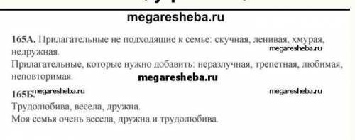 165B. Какая информация в эссе является главной, какая детальной? Как соотносится информация, содержа