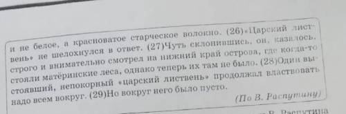 Сочинение Огэ 9.2 Как вы понимаете смысл фразы в предложениях 28-29, очень нужно