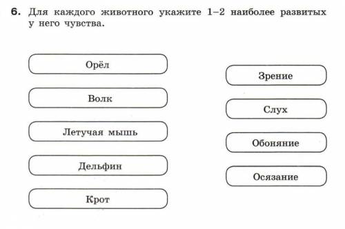 я в этом не очень разбираюсь