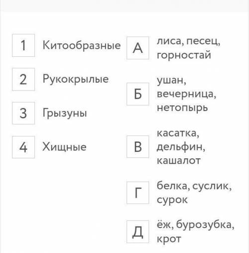 Установите соответствие между отрядом млекопитающих (1-4) и его представителями (А-Д).