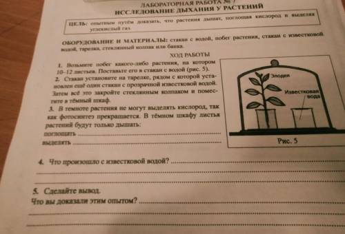 ХОД РАБОТЫ 1. Возьмите побег какого-либо растения, на котором 10-12 листьев. Поставьте его в стакан