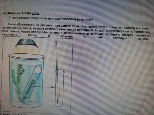 В ходе какого процесса возник наблюдаемый результат?