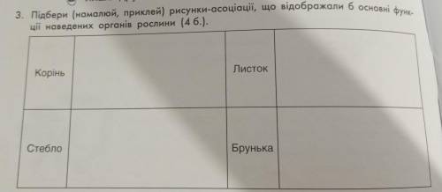 Підбери (намалюй, приклей) рисунки-асоціації, що відображали б основні функції наведених органів рос