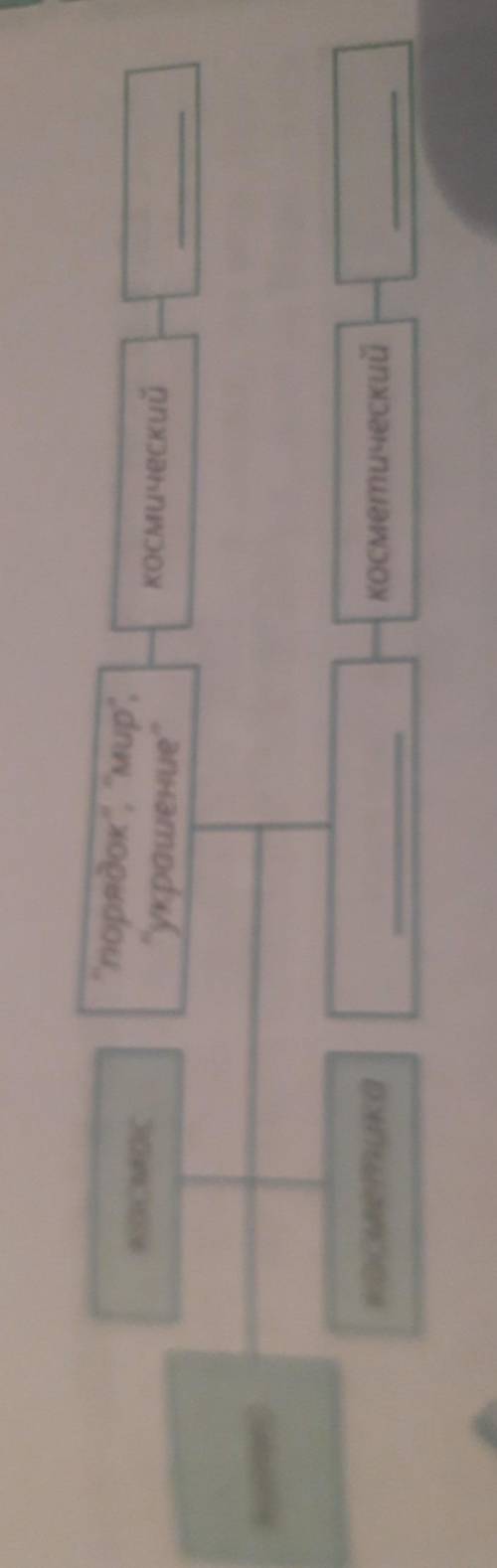 Заполните схему расскажите по ней о связи слов космос и косметика по происхождению