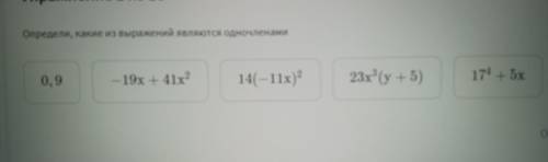 Определи, какие из выражений являются одночленами 23х3 (y+5) 14(–11x)? —19x +41x2 0,9