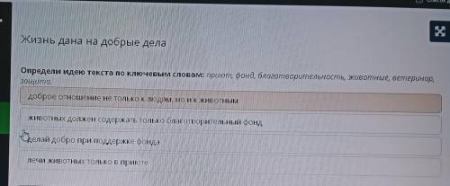 Определи идею текста по ключевым словам: приют, фонд, благотворительность, животные, ветеринар, защи