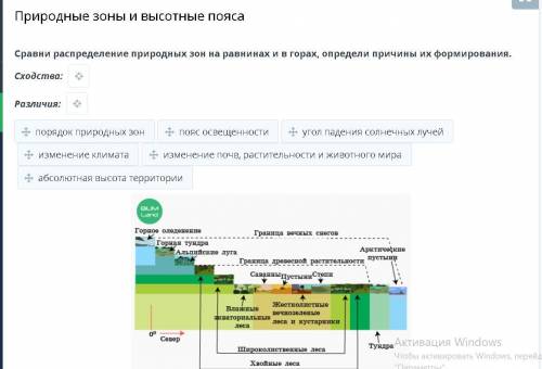 Природные зоны и высотные пояса Сравни распределение природных зон на равнинах и в горах, определи п