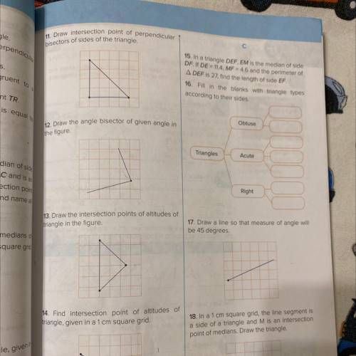 13. Draw the intersection points of altitudes of triangle in the figure.