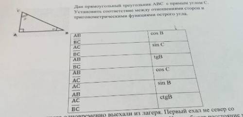 Дан прямоугольный треугольник ABC с прямым углом С.Установите соответствия между отношениями сторон