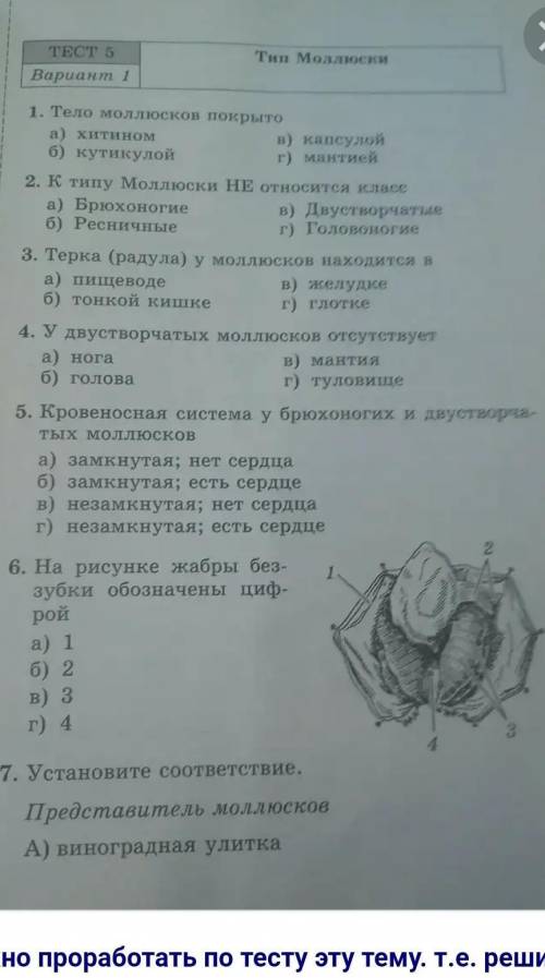 . У кого такая тетрадь с тестами по биологии (оформление) напишите в вк Мия Баратова