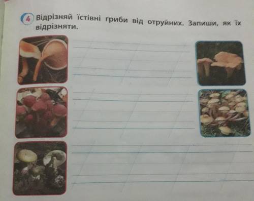 До іть будь ласка зробити завдання