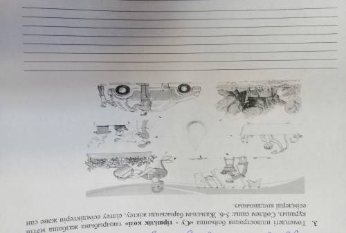 Составьте текст из 6-5 предложений на казахском, по картинкам.
