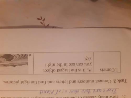 Task 2 Contact number and letters and find the right pictures