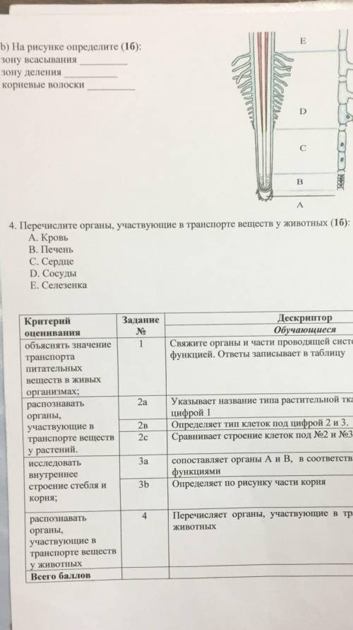 СОР ПО БИОЛОГИИ 7 КЛАСС, КТО ПРАВИЛЬНО СДЕЛАЕТ ИЛИ БОЛЬШЕ