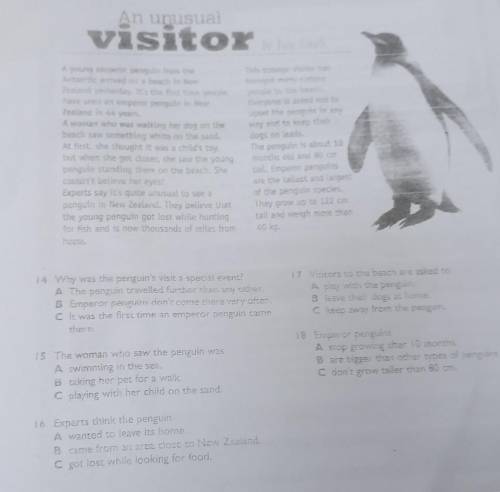 14 Why was the penguin's visit a special event? A The penguin travelled further than any other B Emp