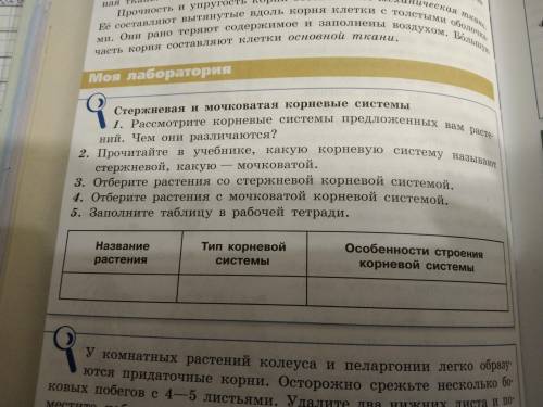 стержневая и мочковатая корневая система, заполнить таблицу. Не менее десяти вариантов ответов. Само