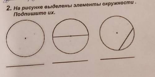 2. На рисунке выделены элементы окружности. Подпишите их.