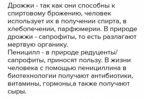 Какое значение в природе и в жизни человека имеют культурные и дикие виды дрожжей? кратко